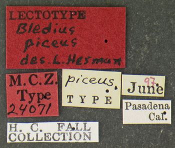 Media type: image;   Entomology 24071 Aspect: labels